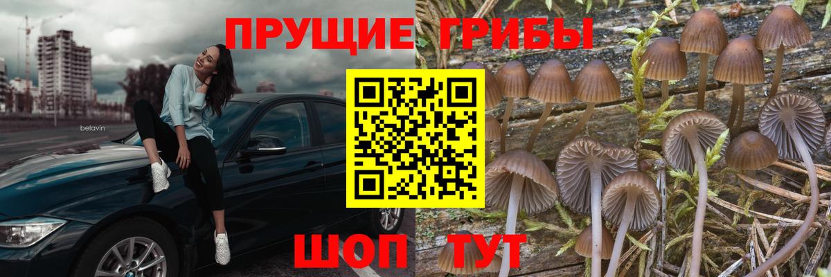 Кодеин Людиново