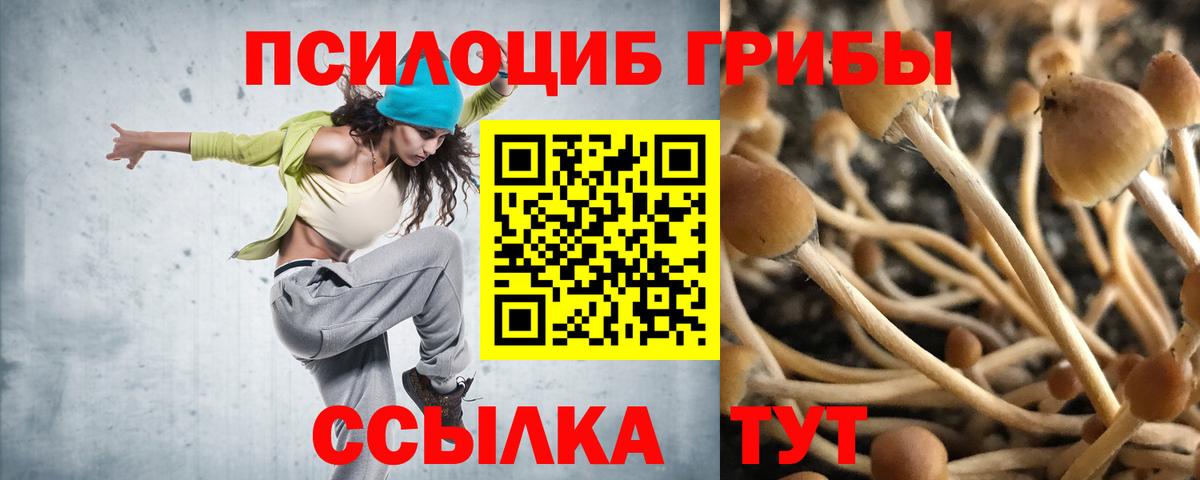 Галлюциногенные грибы MAGIC MUSHROOMS Людиново